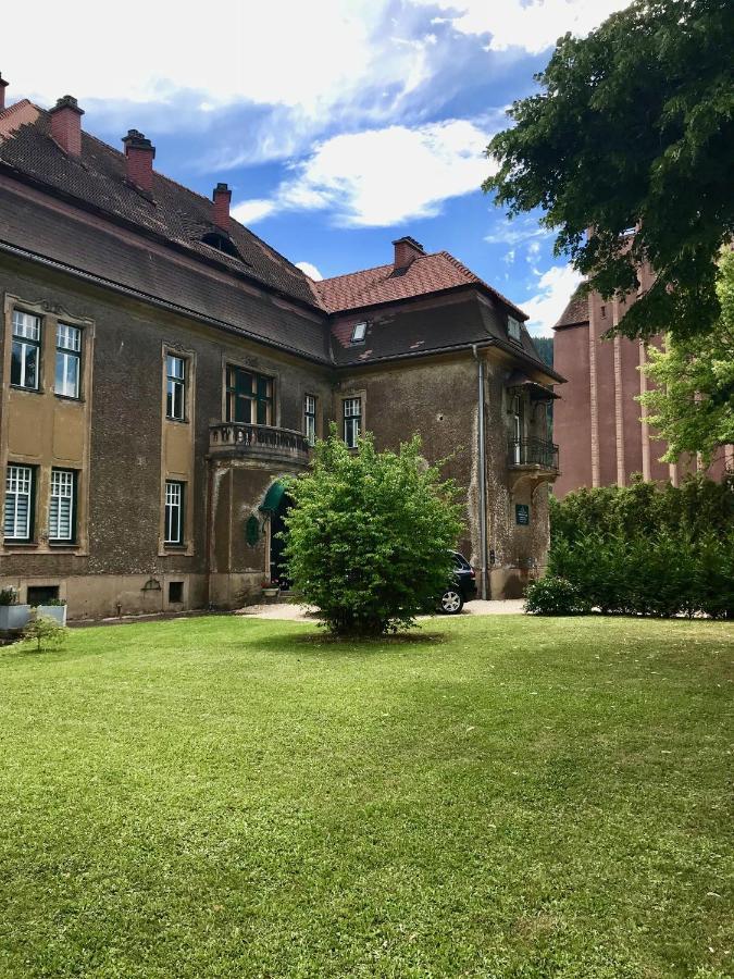 Apartment Im Gruenen Leoben  Eksteriør billede